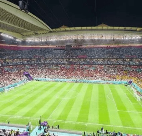 大乐透期号,专家质合分,析推荐,皇冠体育app下载,皇冠体育官网,澳门皇冠体育,bet皇冠体育在线